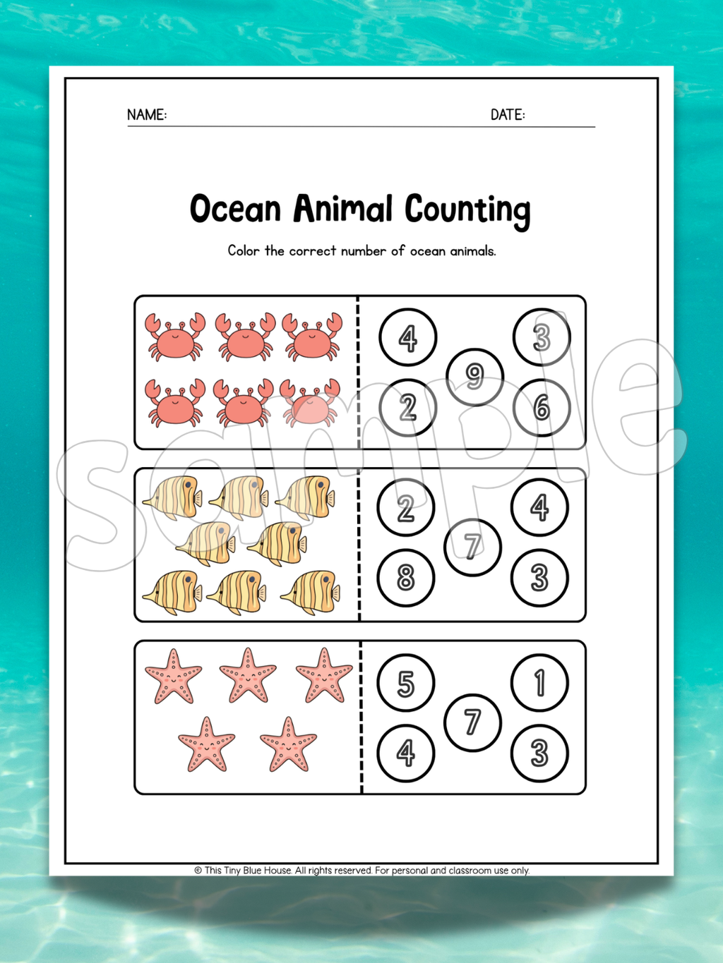 Ocean Animal Worksheets for Kids | Printable Ocean Learning Activities