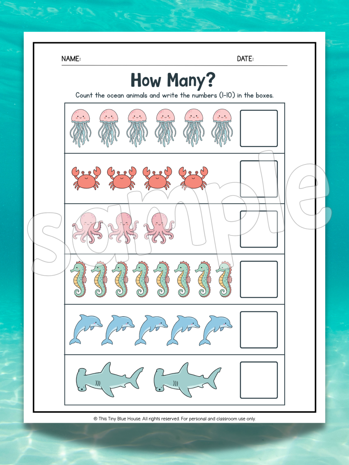 Ocean Animal Worksheets for Kids | Printable Ocean Learning Activities