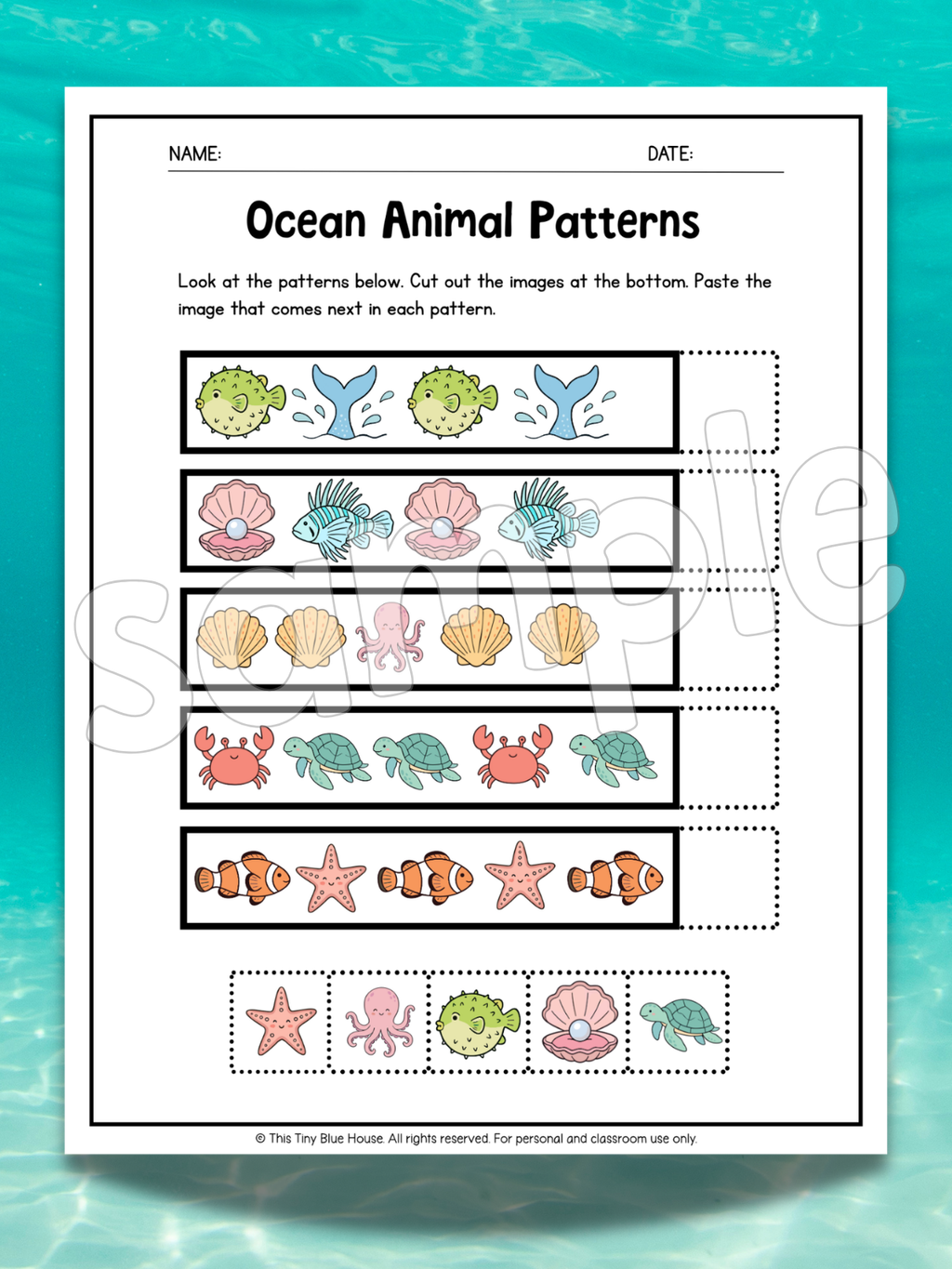 Ocean Animal Worksheets for Kids | Printable Ocean Learning Activities