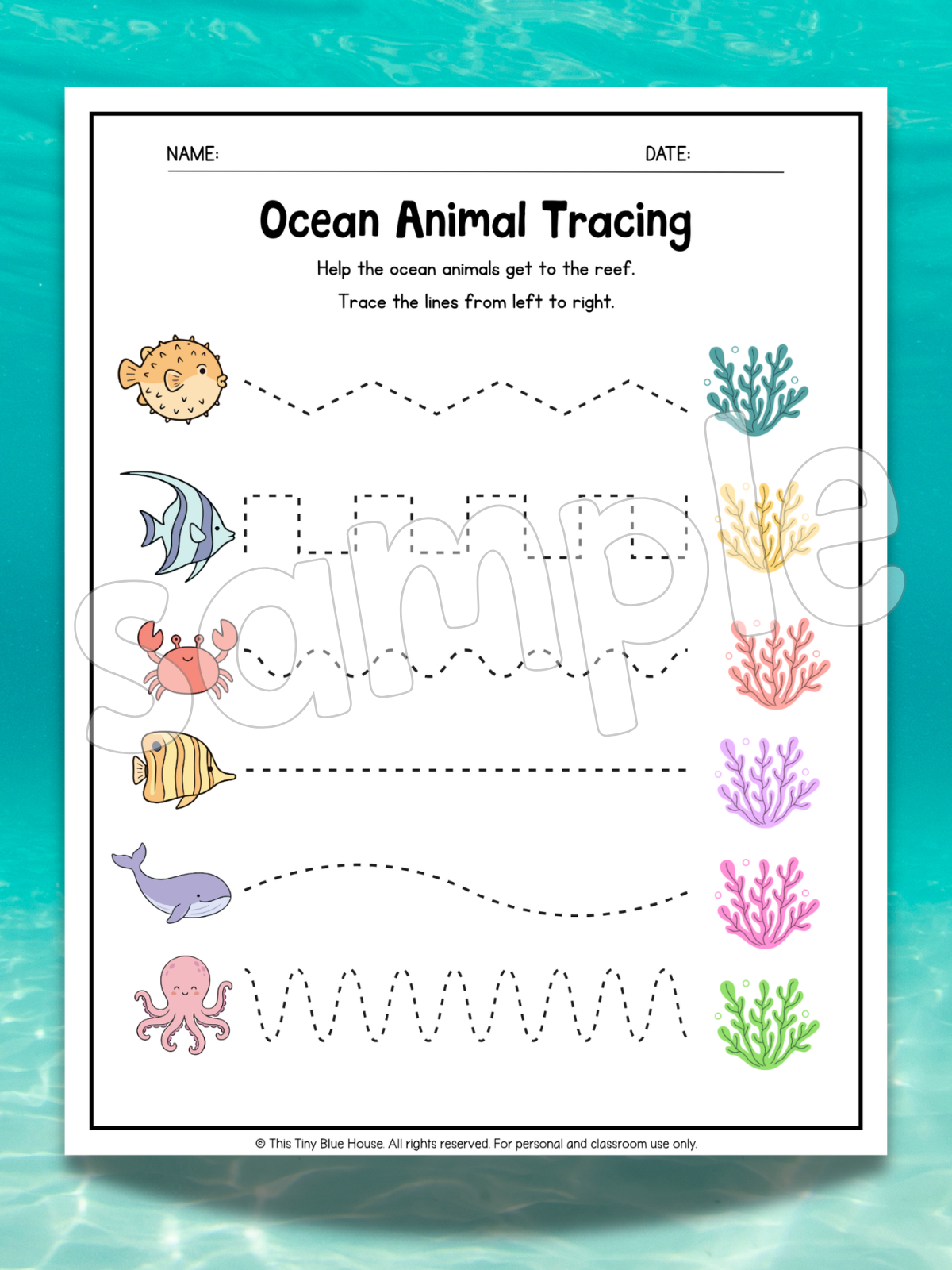 Ocean Animal Worksheets for Kids | Printable Ocean Learning Activities