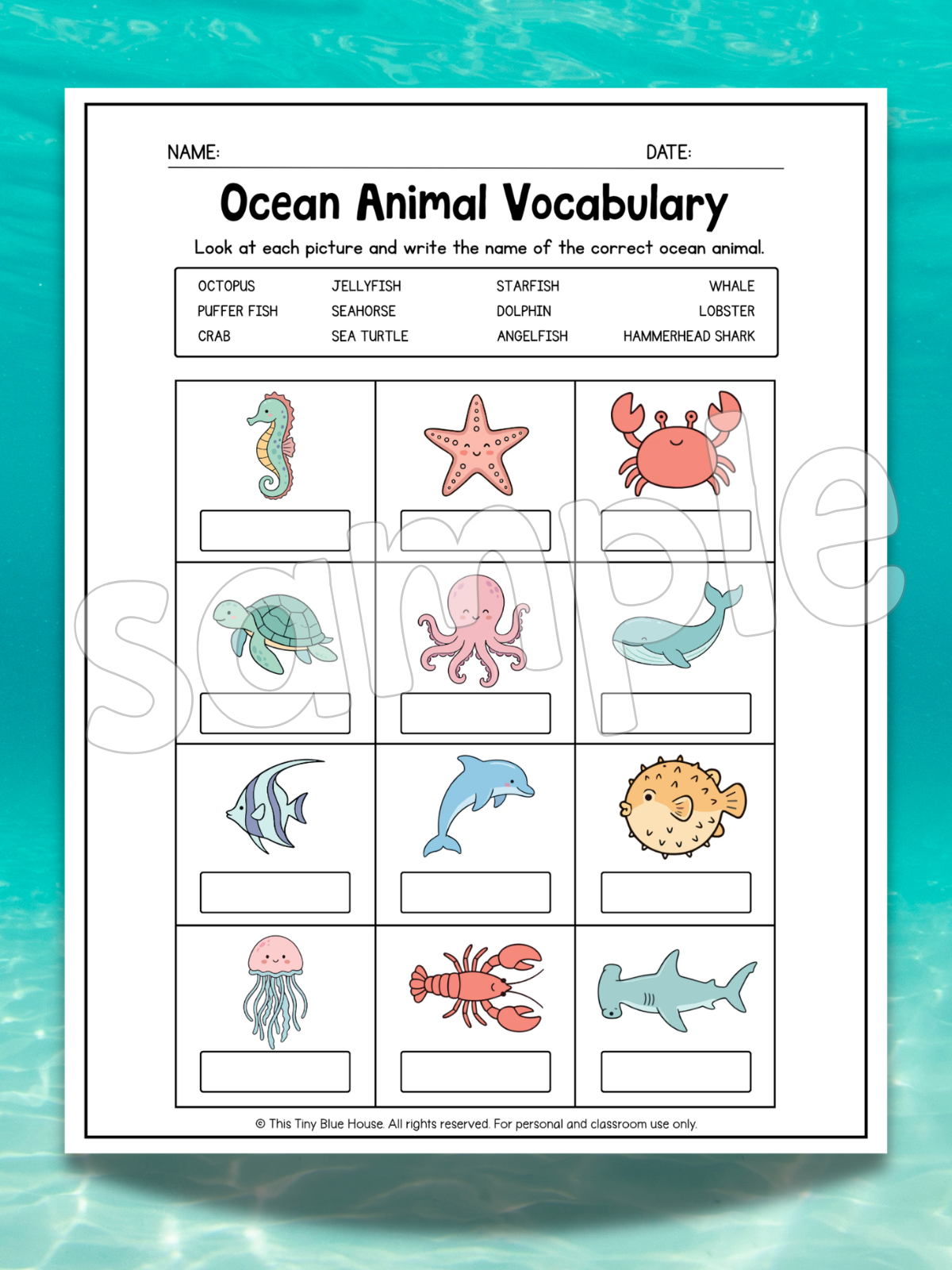 Ocean Animal Worksheets for Kids | Printable Ocean Learning Activities