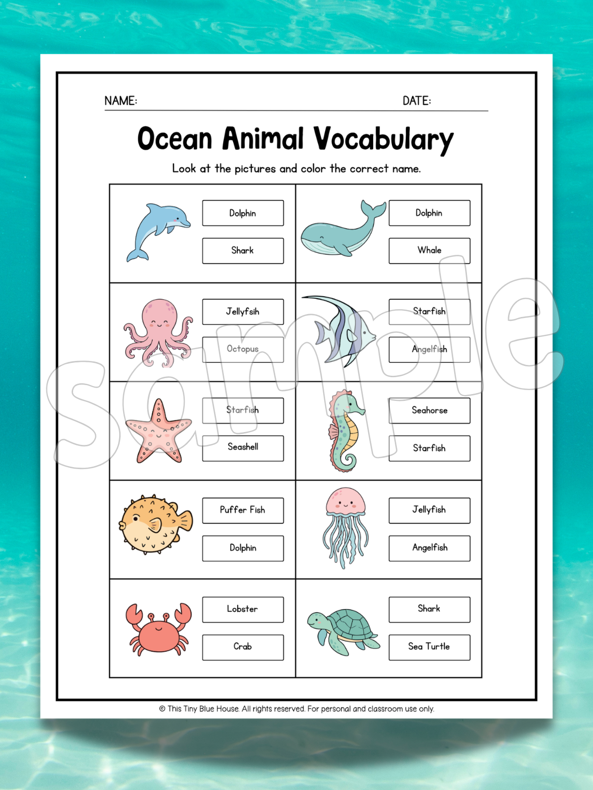 Ocean Animal Worksheets for Kids | Printable Ocean Learning Activities
