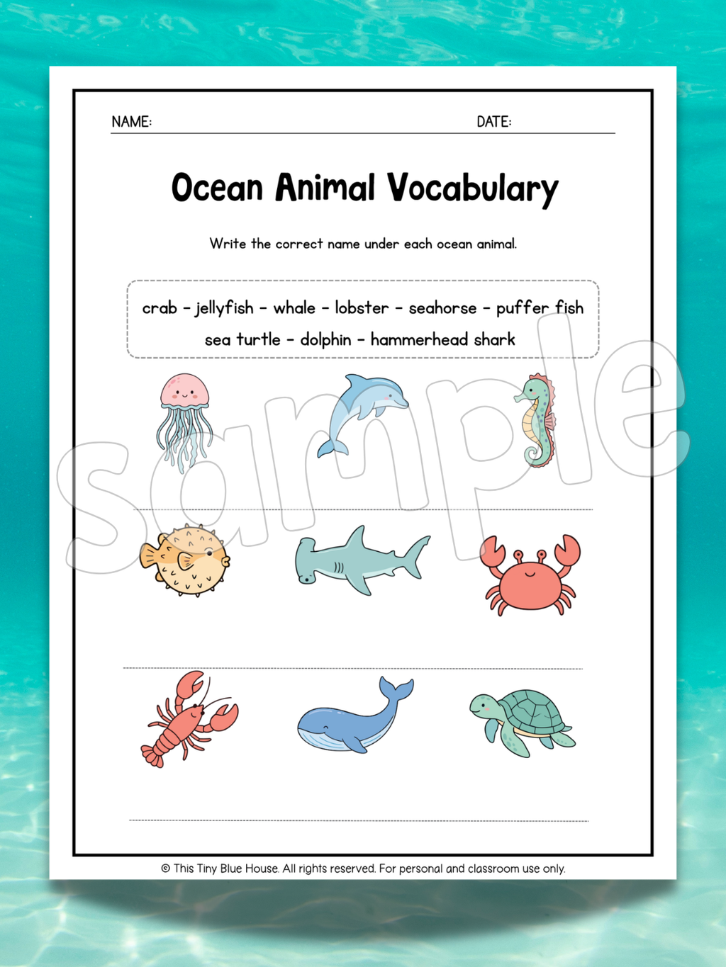 Ocean Animal Worksheets for Kids | Printable Ocean Learning Activities