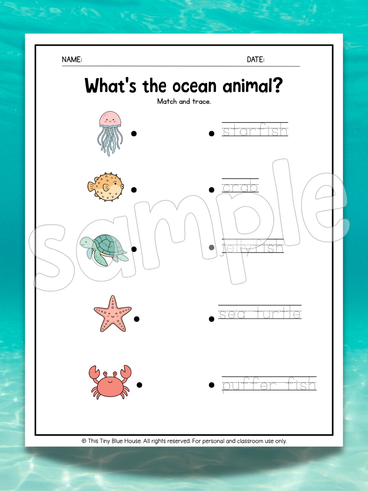 Ocean Animal Worksheets for Kids | Printable Ocean Learning Activities